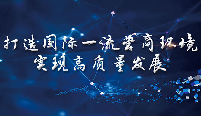 打造國際一流營商環境 實現高質量發展